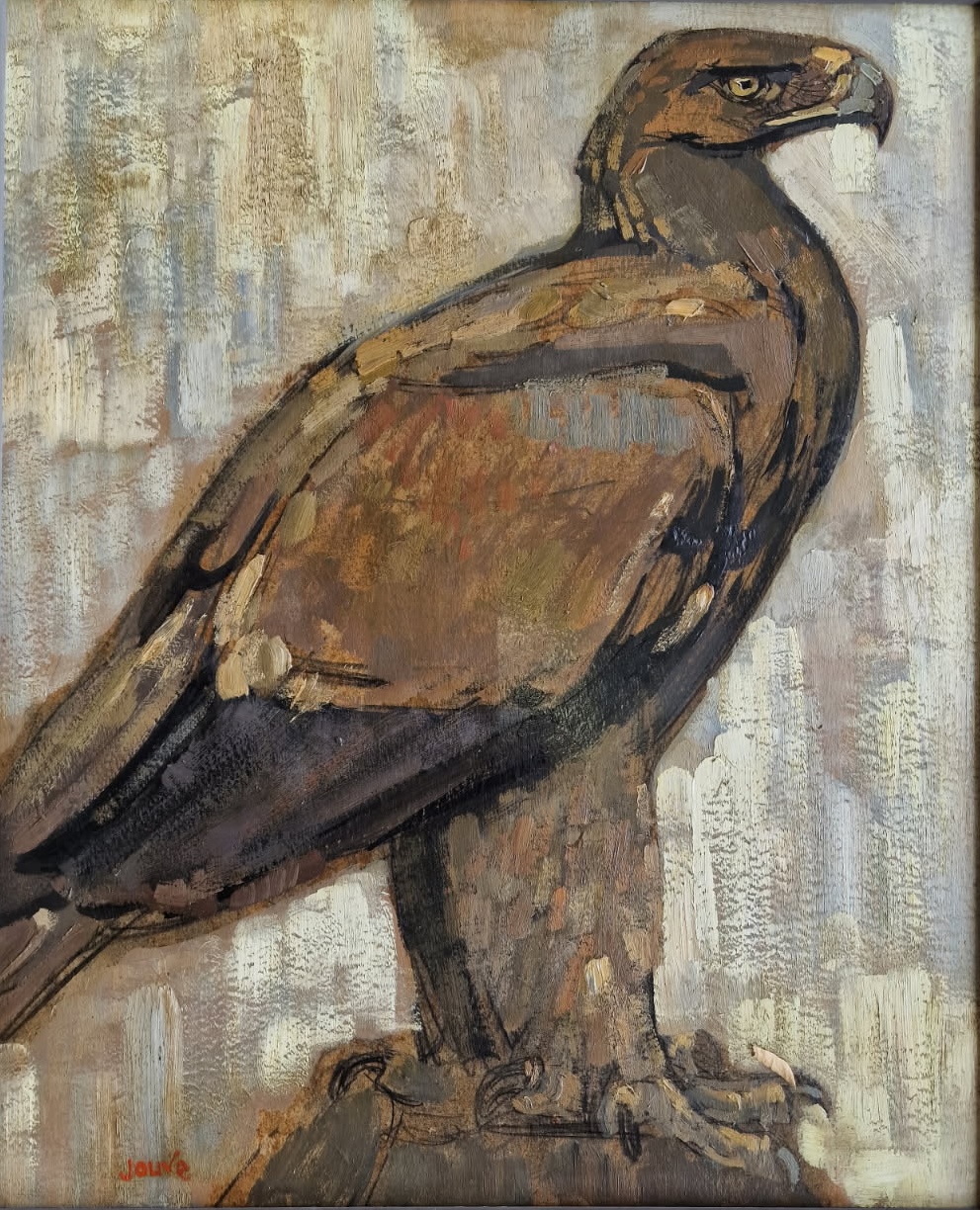 Aigle de profil.